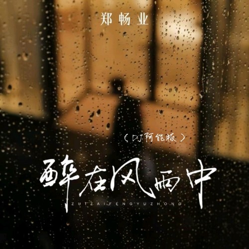 醉在风雨中(DJ阿能版)