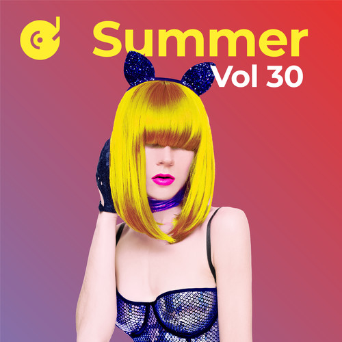 Summer Hits, Vol. 30