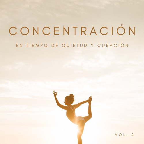 Concentración En Tiempo De Quietud Y Curación Vol. 2