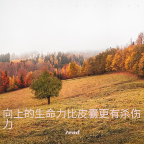 向上的生命力比皮囊更有杀伤力