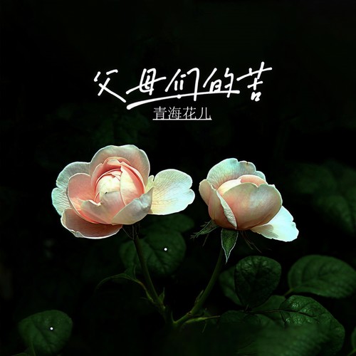 父母们的苦