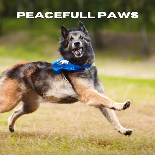 Peaceful Paws