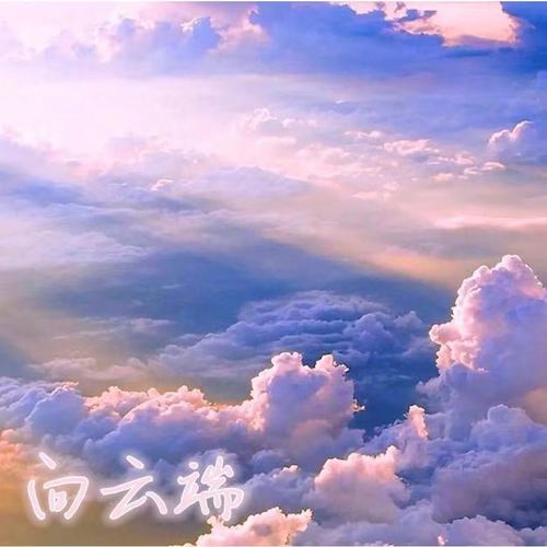 向云端 - 罗严