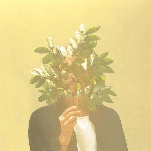 French Kiwi Juice