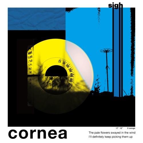 cornea