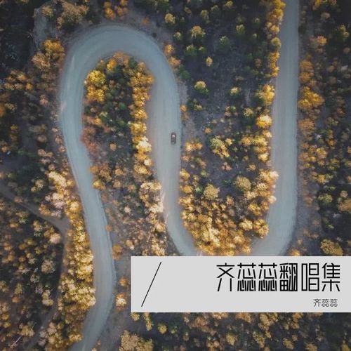 齐蕊蕊翻唱集