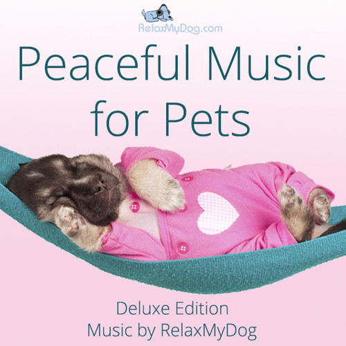 Peaceful Music for Pets