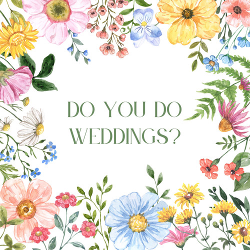 do you do weddings? (Explicit)