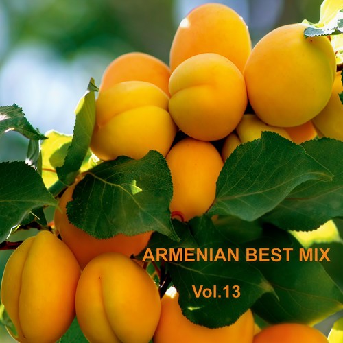 Armenian Best Mix, Vol. 13