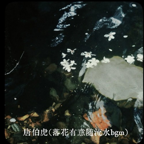 唐伯虎（落花有意随流水bgm）