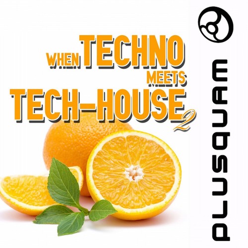 When Techno Meets Tech-House, Vol. 2