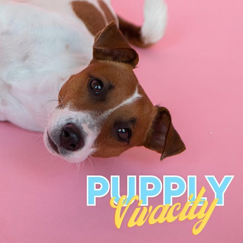 Pupply Vivacity