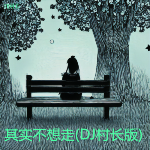 其实不想走(DJ村长版)