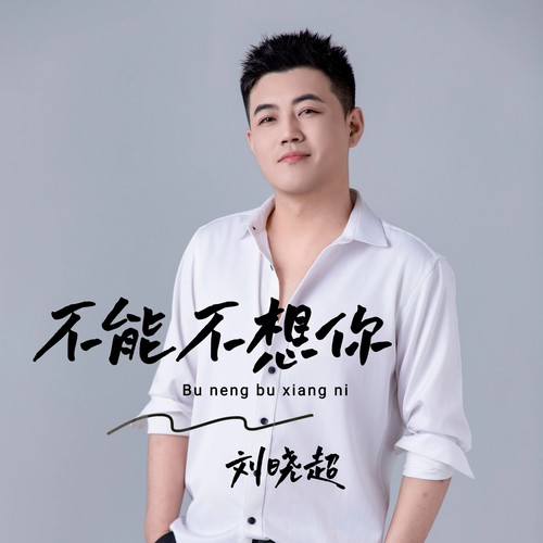 不能不想你（DJ阿卓）