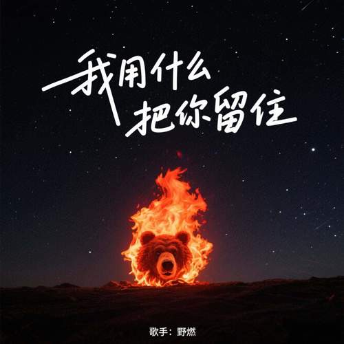 我用什么把你留住