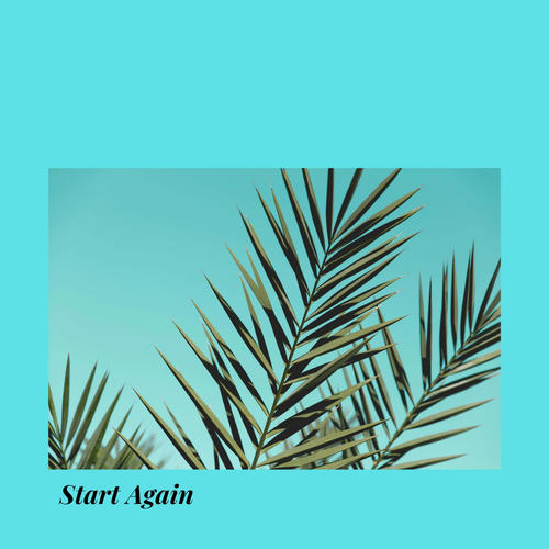 Start Again