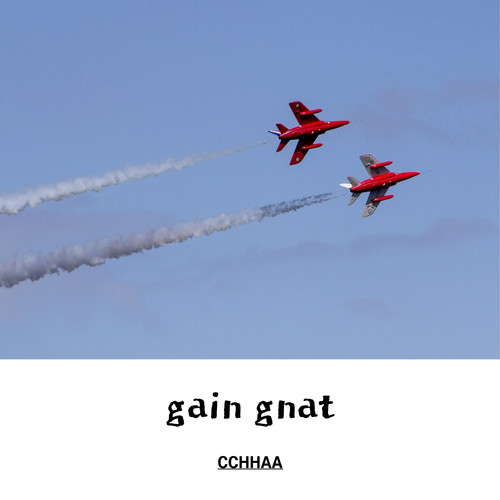 gain gnat