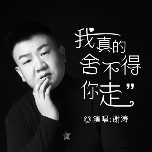 我真的舍不得你走（DJ默涵版）