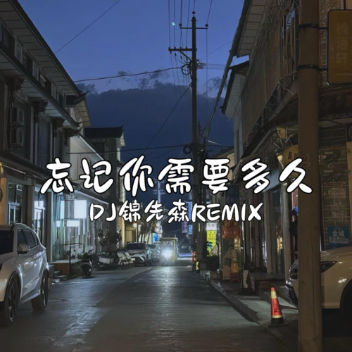 Dj锦先森单曲合集