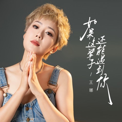 如果这辈子还能遇到你