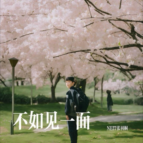 不如见一面