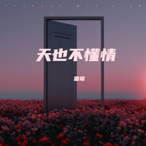 天也不懂情