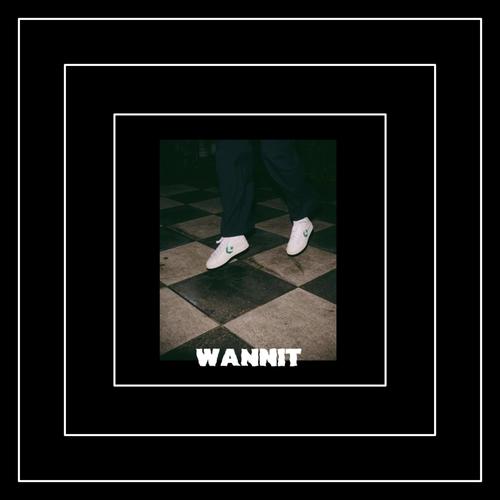 Wannit (feat. cobeau)