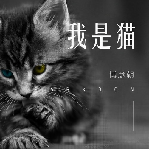 我是猫