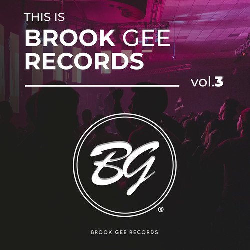 This Is Brook Gee Records, Vol. 3 (Explicit)