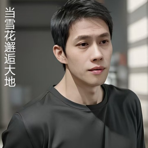 当雪花邂逅大地（DJ版）