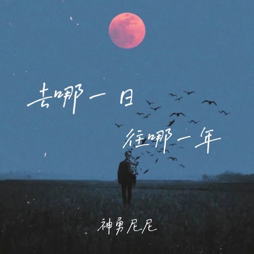 去哪一日 往哪一年（释怀版）