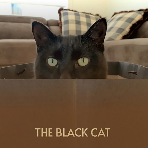 The Black Cat