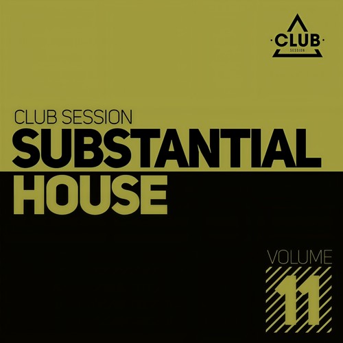 Substantial House, Vol. 11