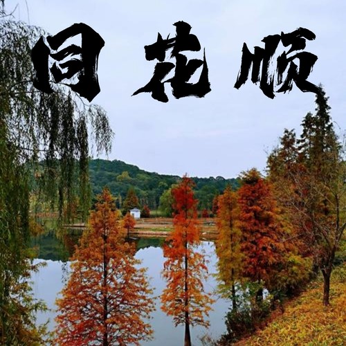 同花顺 (完整版)