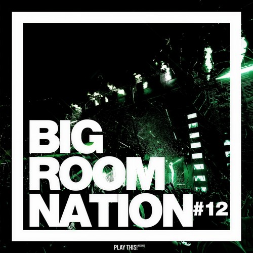 Big Room Nation, Vol. 12