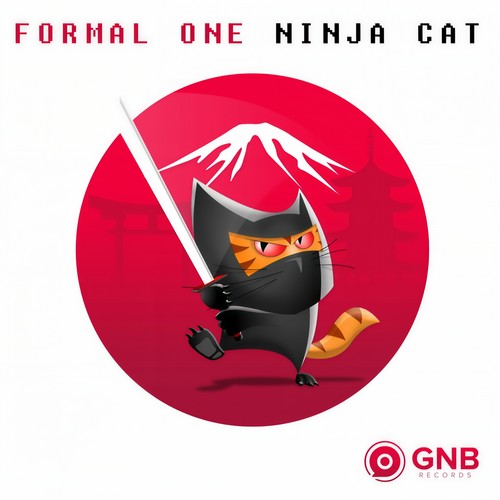 Ninja Cat