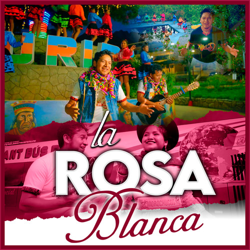 La Rosa Blanca