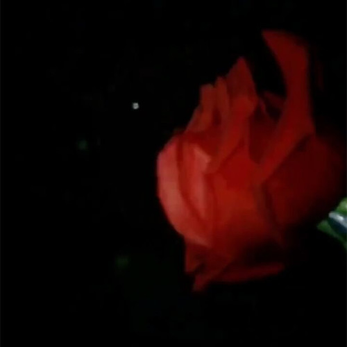 你有没有爱过我