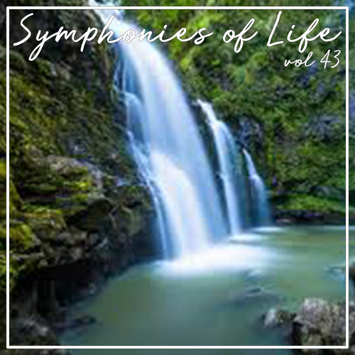 Symphonies of Life, Vol. 43 - Bach: Passio Secundum Johannem, 1768