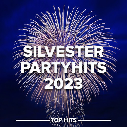 SILVESTER PARTYHITS 2023/2024 (Explicit)