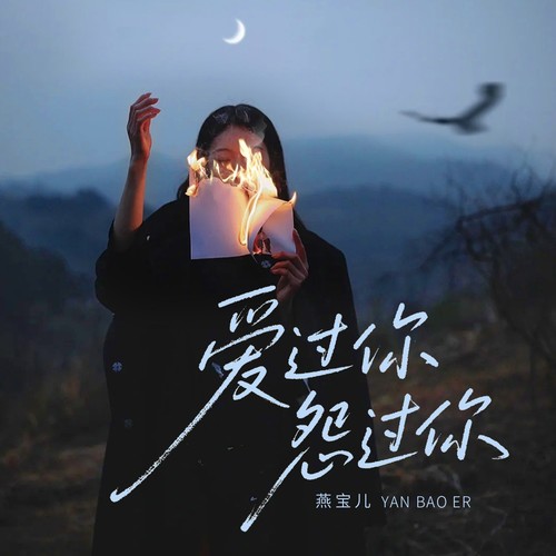 爱过你 怨过你（DJ俊海版）