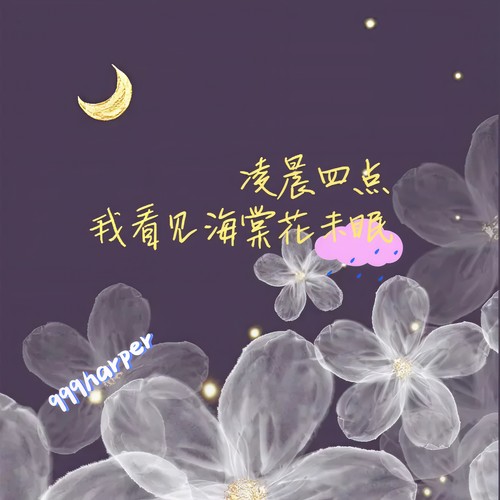 凌晨四点我看见海棠花未眠