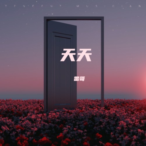 天天