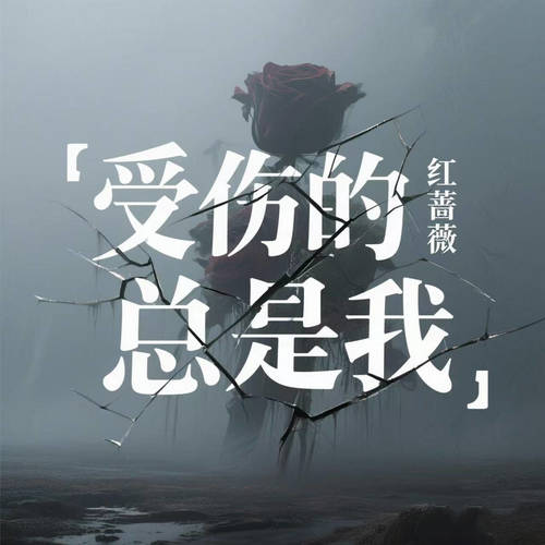 受伤的总是我