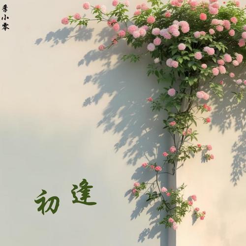 初逢