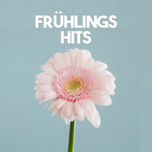 Frühlings Hits (Explicit)