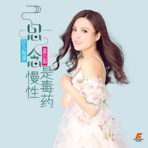 思念是慢性毒药 (DJ小刚版)