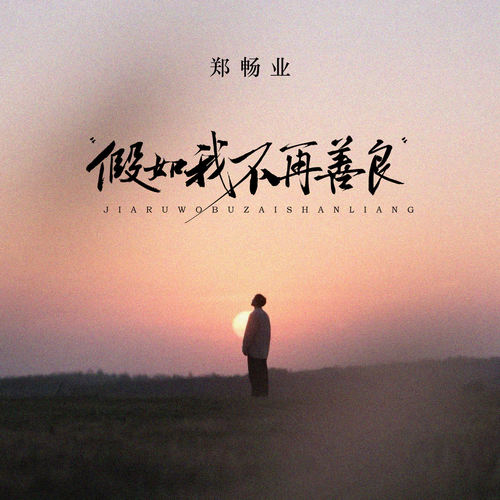假如我不再善良 (新版)