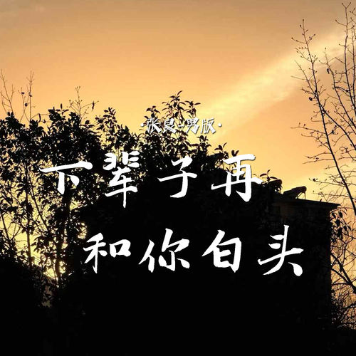 下辈子再和你白头 (男版)