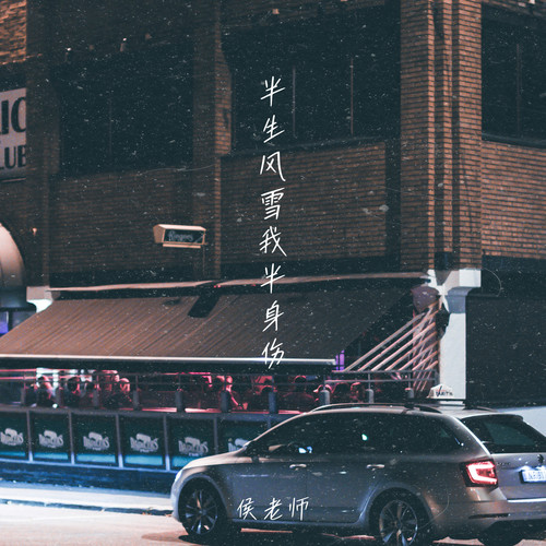 半生风雪我半身伤